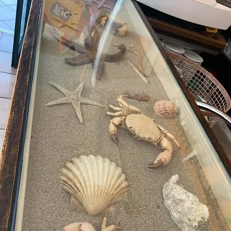 Conero-alba Al Mare-bilocali Adiacenti E V I S T A Mare